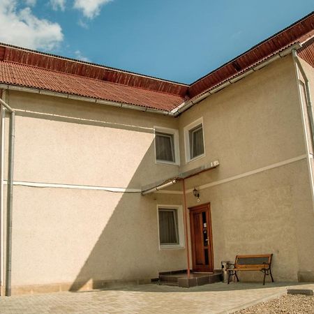 Pensiunea Selena Vişeu de Sus Exterior foto