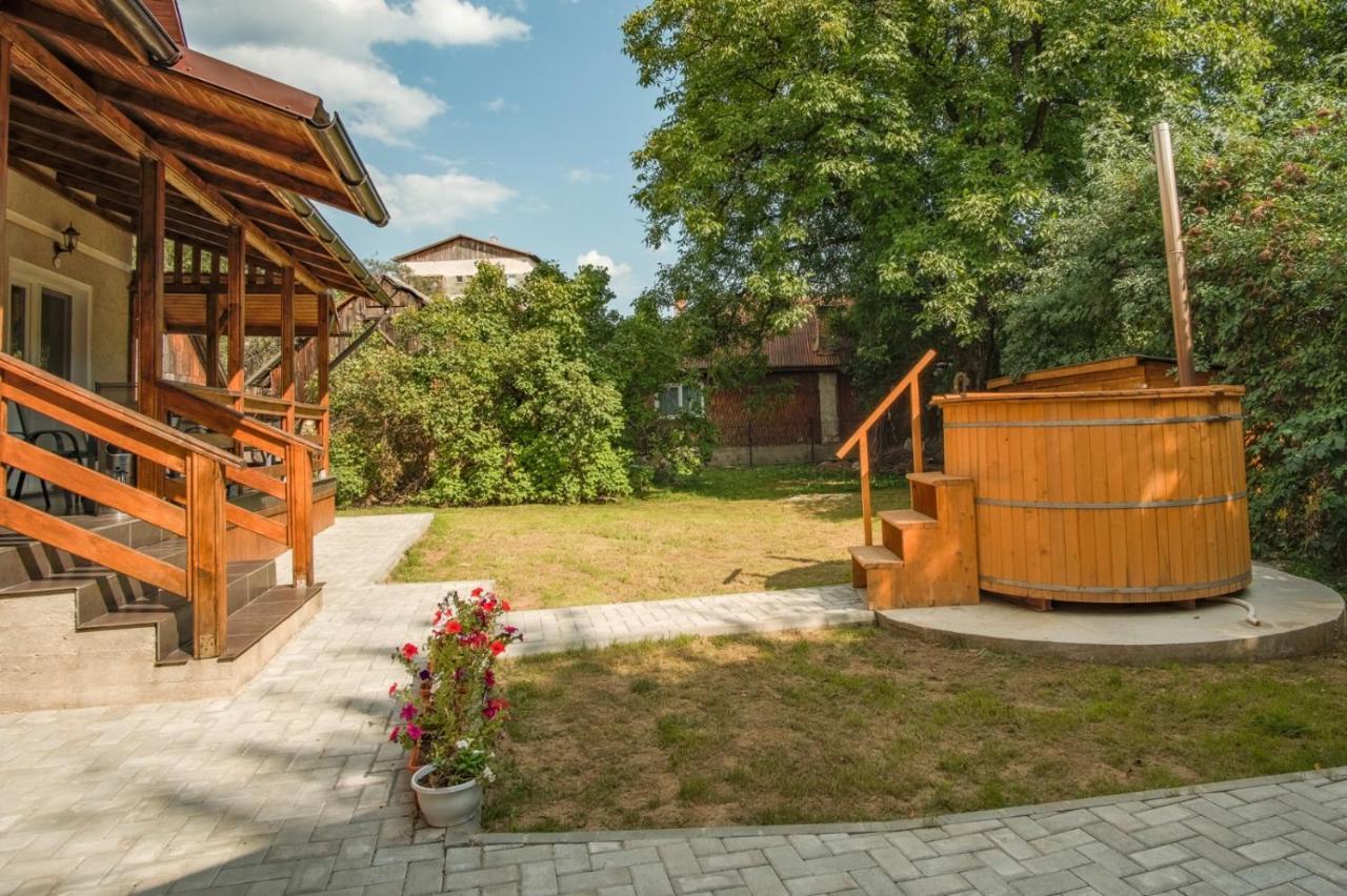 Pensiunea Selena Vişeu de Sus Exterior foto
