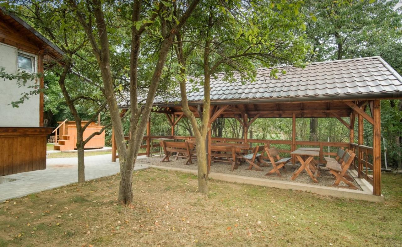 Pensiunea Selena Vişeu de Sus Exterior foto