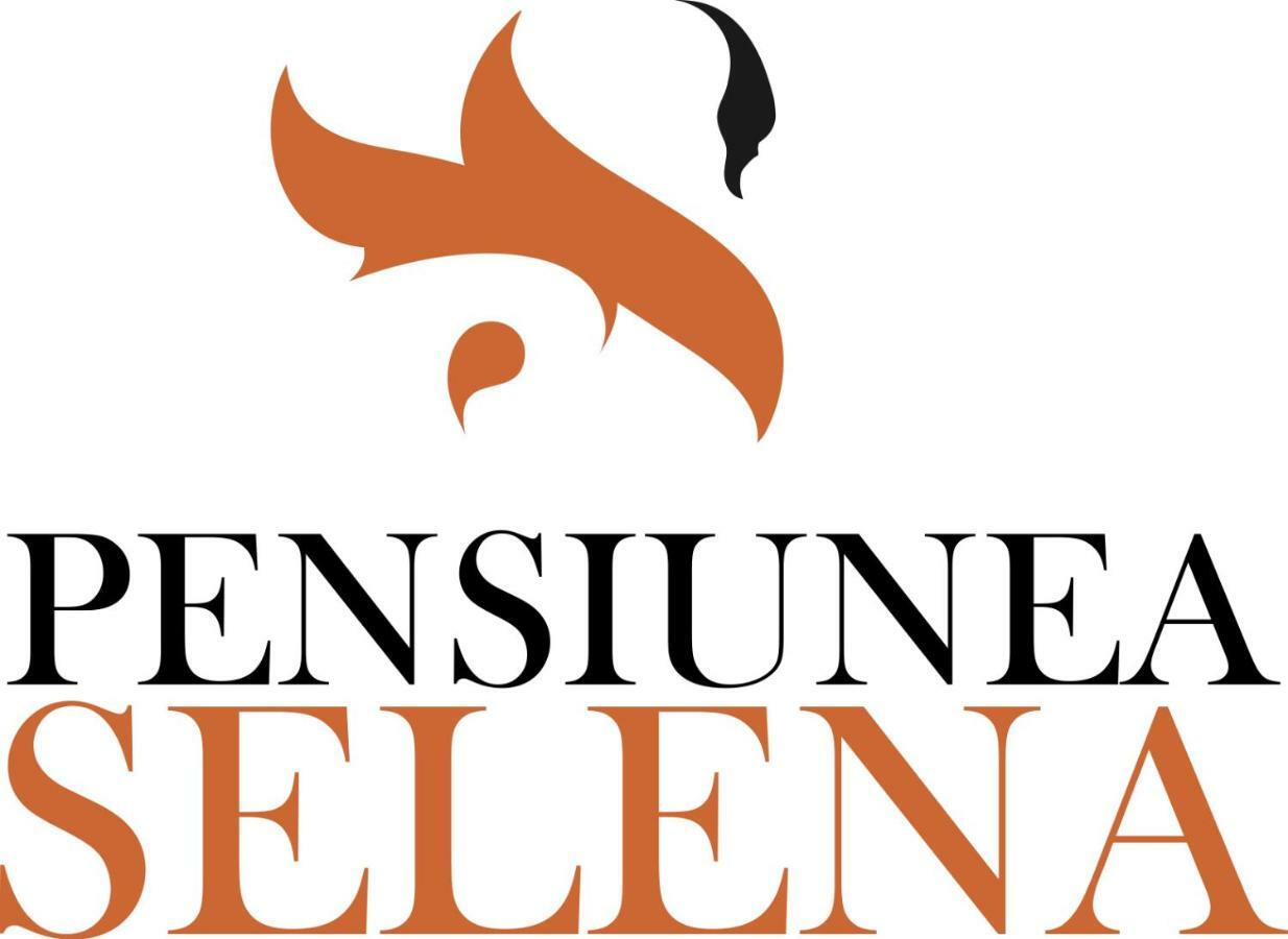 Pensiunea Selena Vişeu de Sus Exterior foto